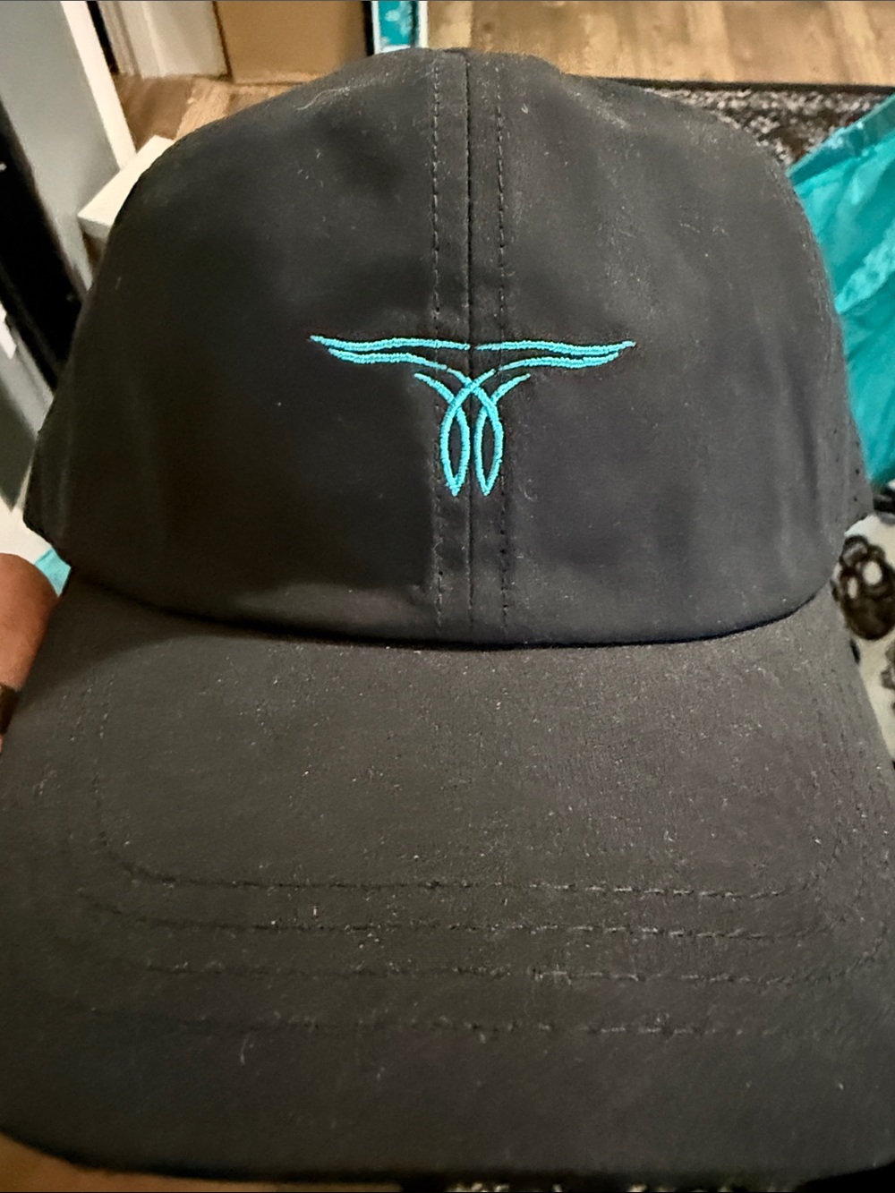 Black Baseball Cap with Teal Embroidered Logo - Accessory